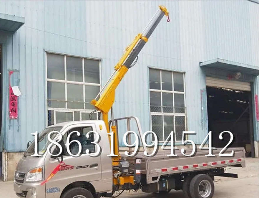 黔西南布依族苗族自治州随车吊机1/2吨吊机黔西南布依族苗族自治州当地随车吊机起重机小型蜘蛛吊出租小吊机220V